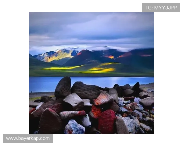 伤痕我心:那些刻骨铭心的印记,如何成为生命中最美的风景 伤痕我心:那些刻骨铭心的印记,如何成为生命中最美的风景