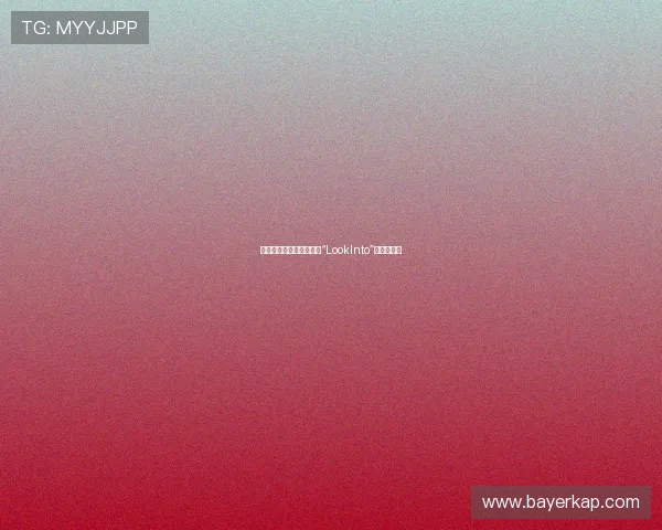 探寻未知,洞察深层——“LookInto”的无限可能 探寻未知,洞察深层——“LookInto”的无限可能